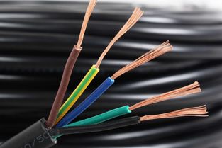 WDZBN-BYJ電線詳解 特性、應(yīng)用與行業(yè)認(rèn)知